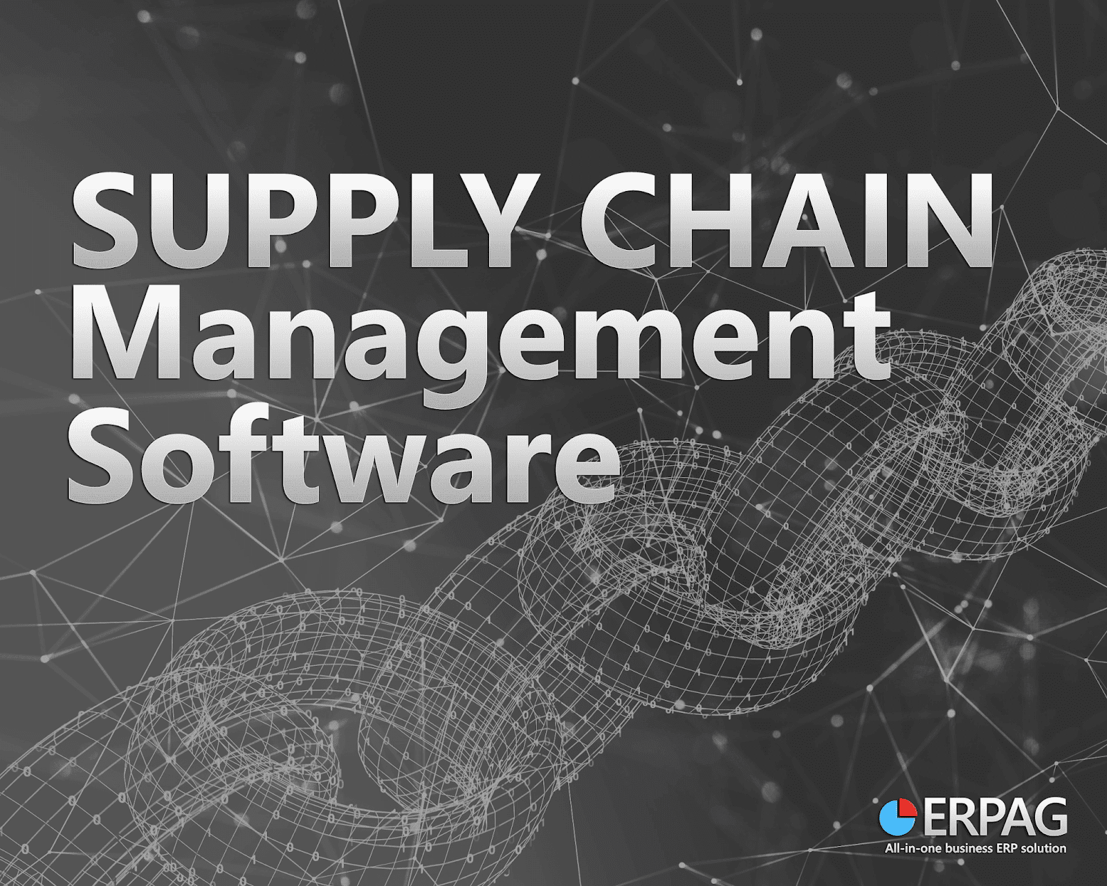 SupplyChainManagementSoftware ERPAG