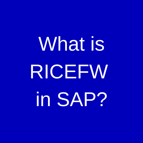 What is RICEFW in SAP? (+ RICEFW Example) ERProof