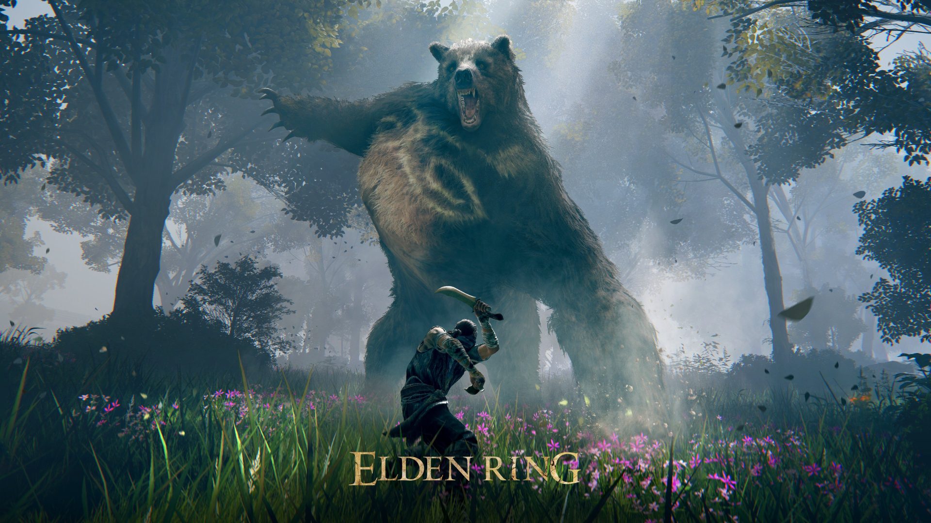 Elden Ring Best Settings to Increase FPS for Low End PCs