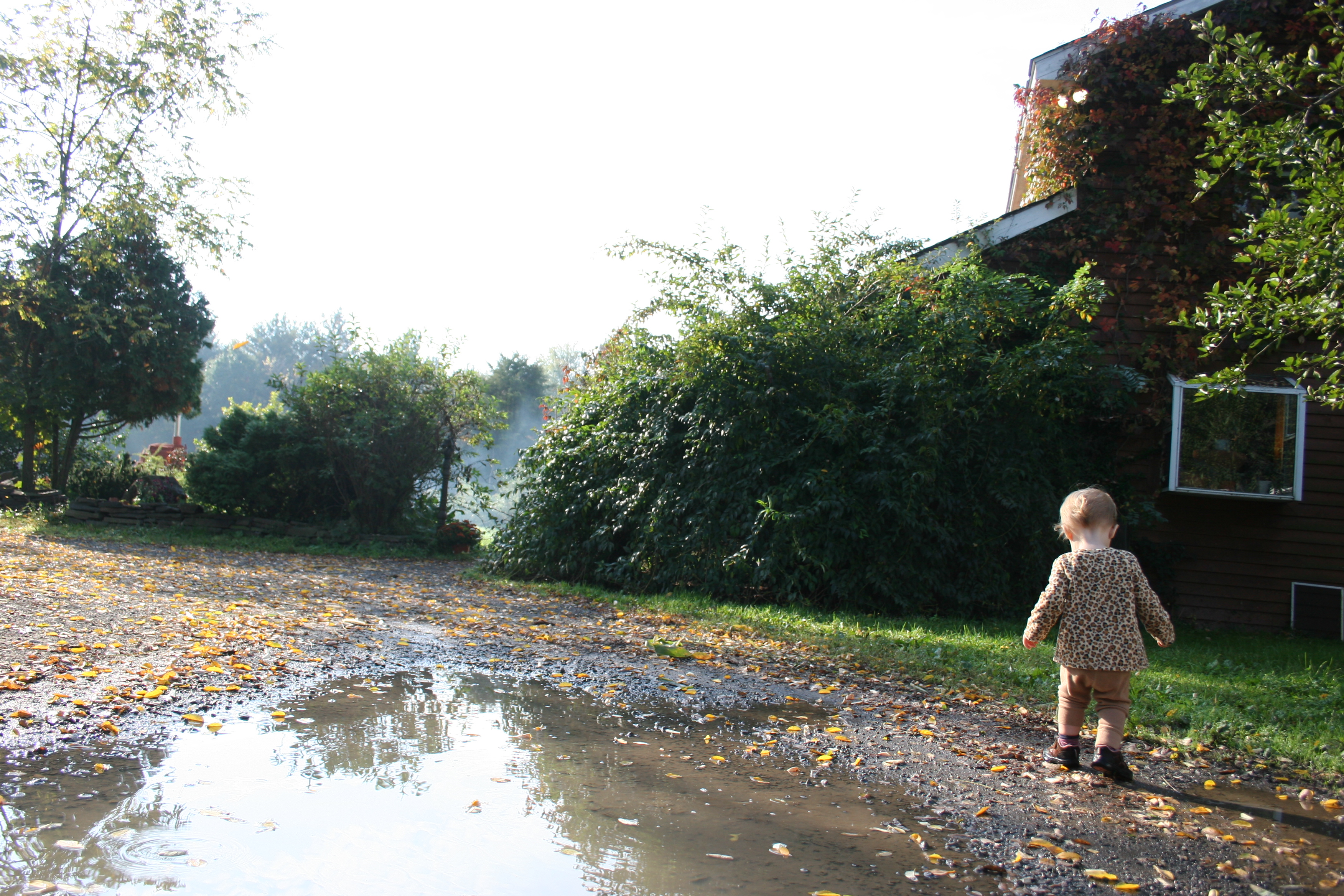 Lehigh Valley Erotic Services Craigslist Tiffany Teen Free Prono