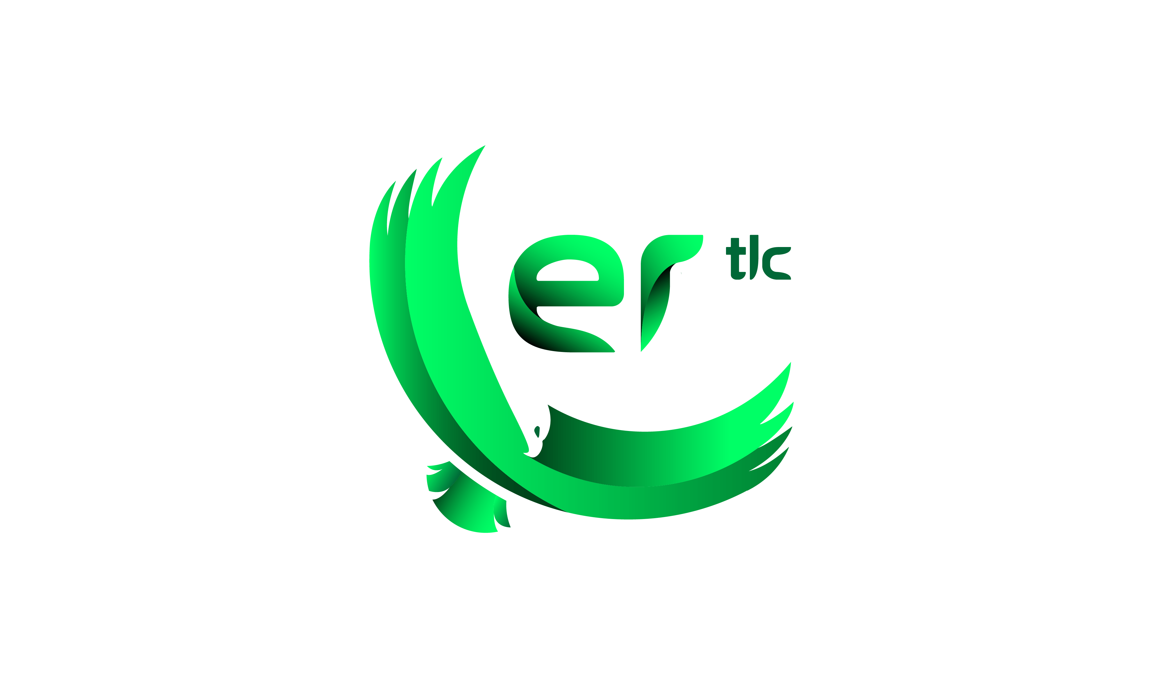 ER TLC Srl Monza Roma