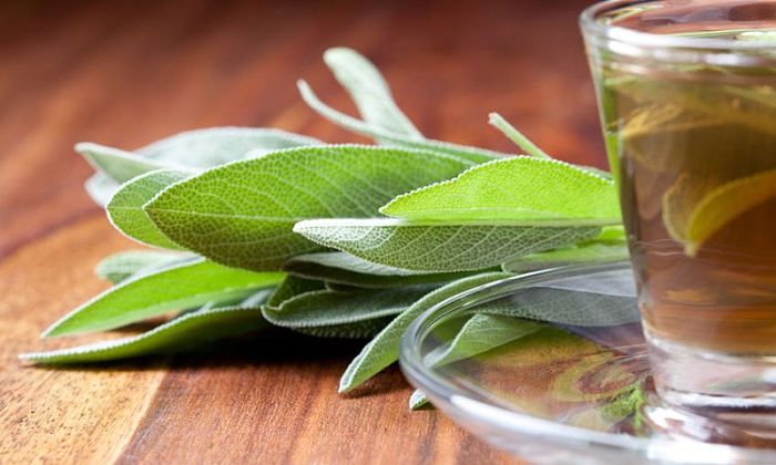 Libérate de la Tos Seca Persistente con Remedios Naturales