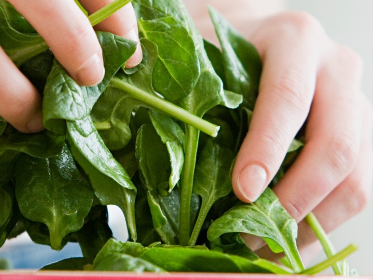 Spinach Health Benefits బచ్చలి కూరతో బోలెడన్ని లాభాలు మీ సొంతం! Eruvaaka