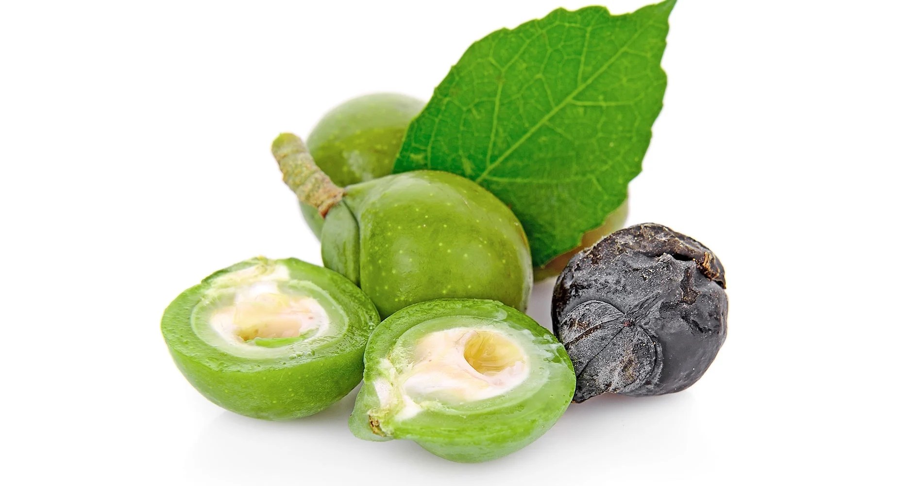 Soap Nuts కుంకుడు కాయల సాగుతో రైతులకి మంచి లాభాలు.! Eruvaaka