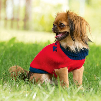 Hundepullover eBay