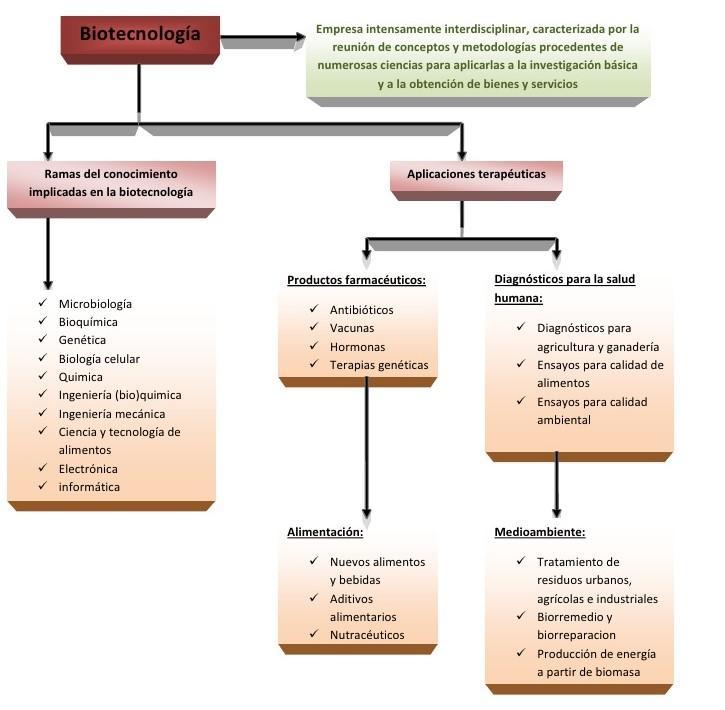 Mapa mental de las ventajas y desventajas de la quimica en la salud Por