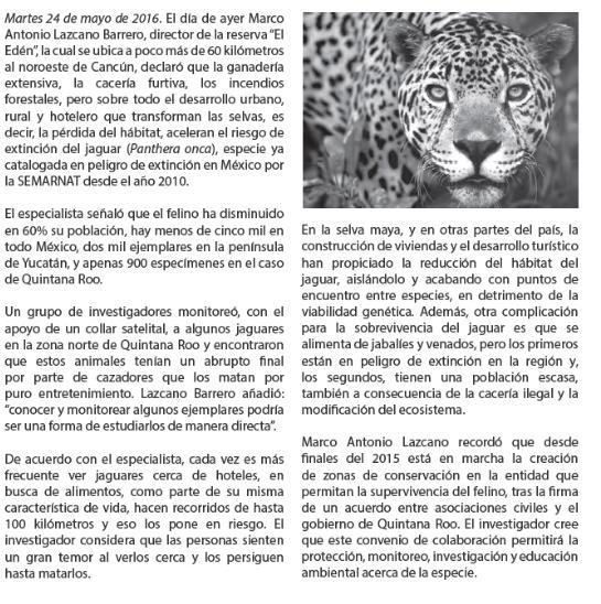 Cual debe ser el encabezado de la noricia anterior Brainly.lat