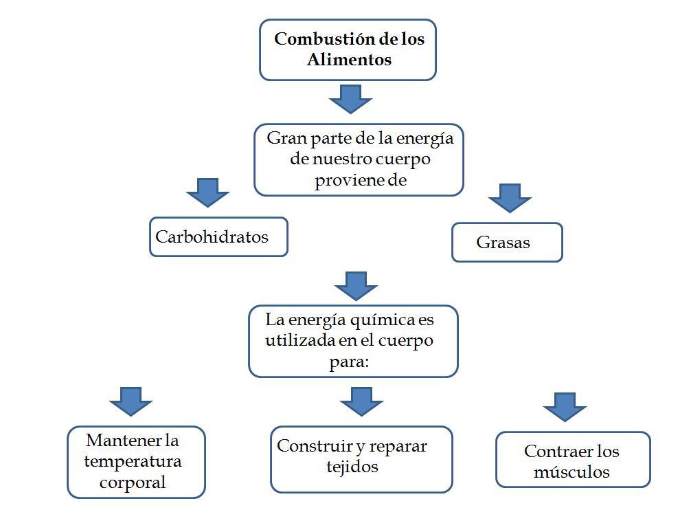 diagrama sobre la combustión de los alimentos Brainly.lat