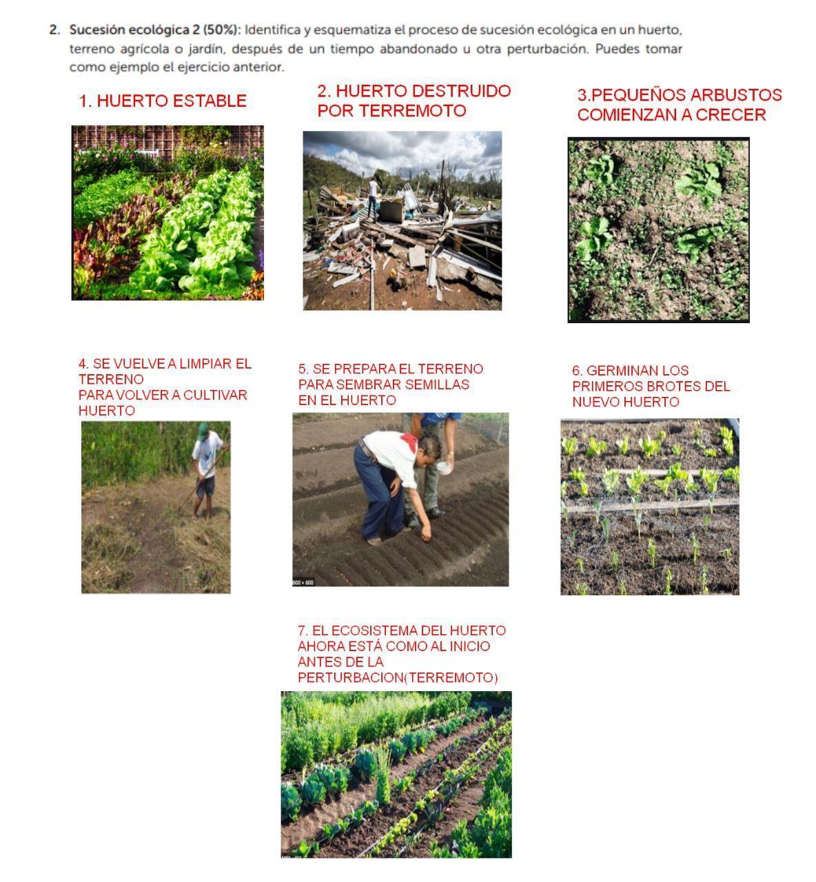 2. Sucesión ecológica 2 (50) Identifica y esquematiza el proceso de