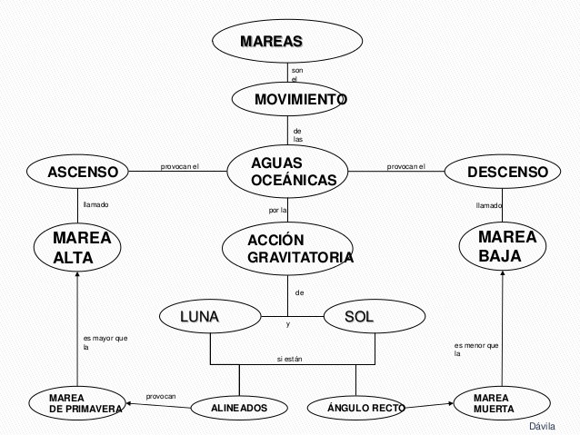 mapa conceptual el movimiento de las mareas Brainly.lat