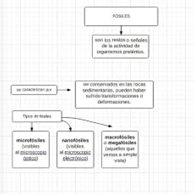 mapa conceptual sobre los fosiles Brainly.lat