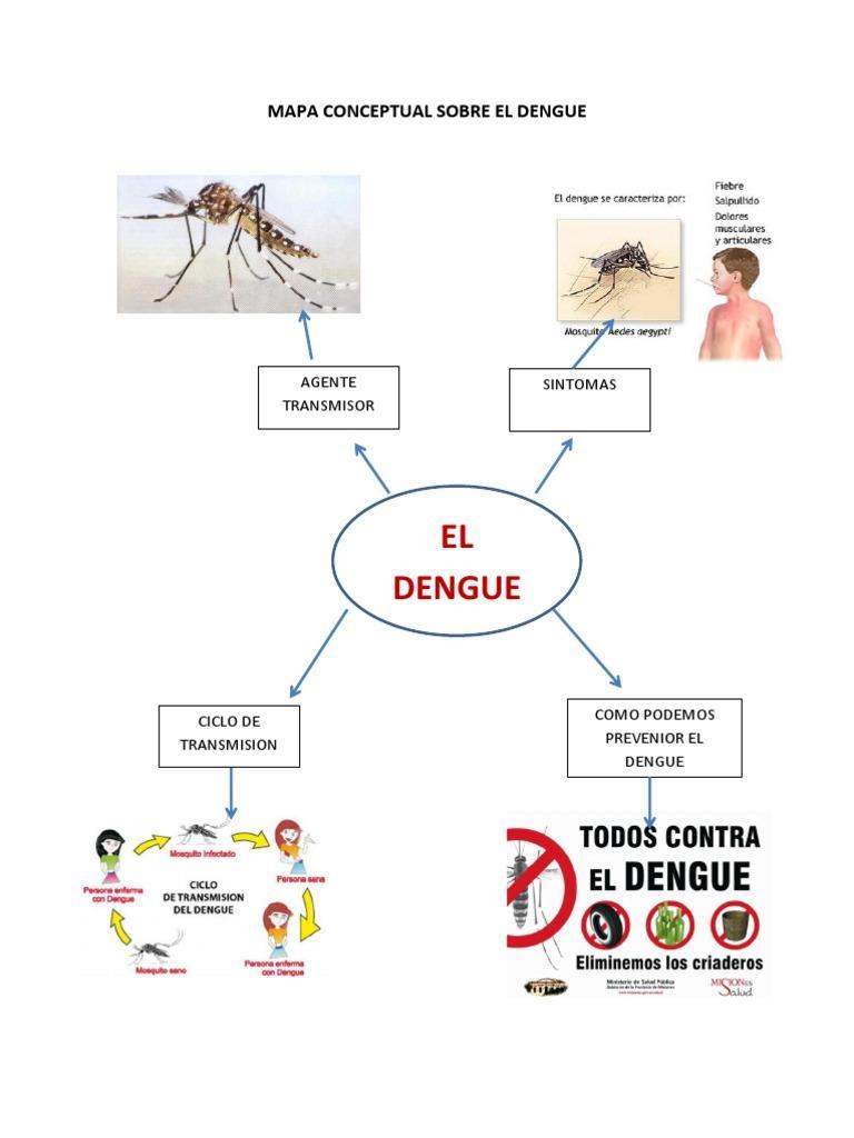 1 completa el siguiente mapa conceptual sobre el dengue y el cólera