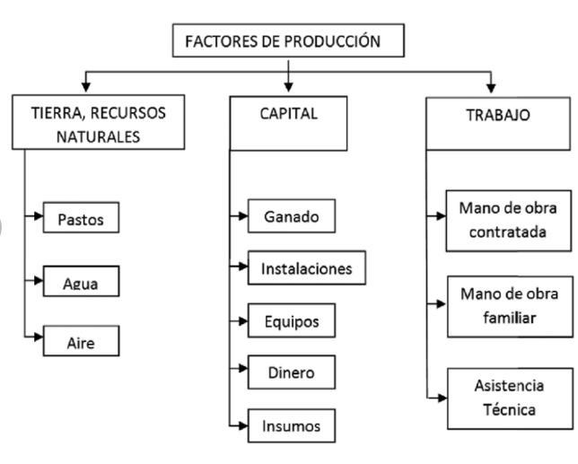 mapa conceptual sobre los factores de producción Brainly.lat