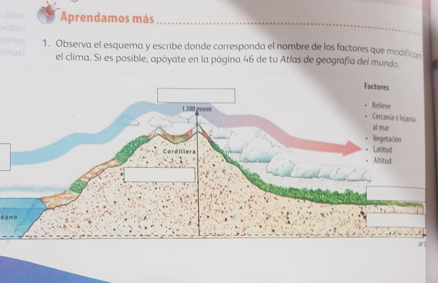 Observa el esquema y escribe donde corresponda el nombre de los