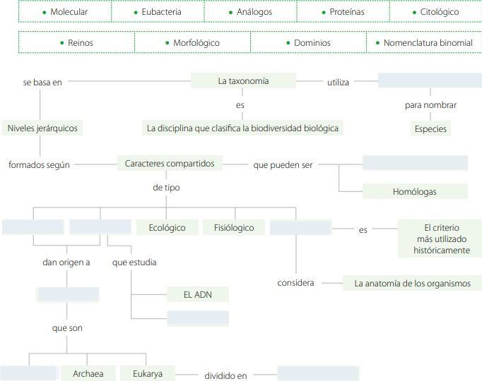 3. Completa los cuadros vacíos en el mapa conceptual utilizando los