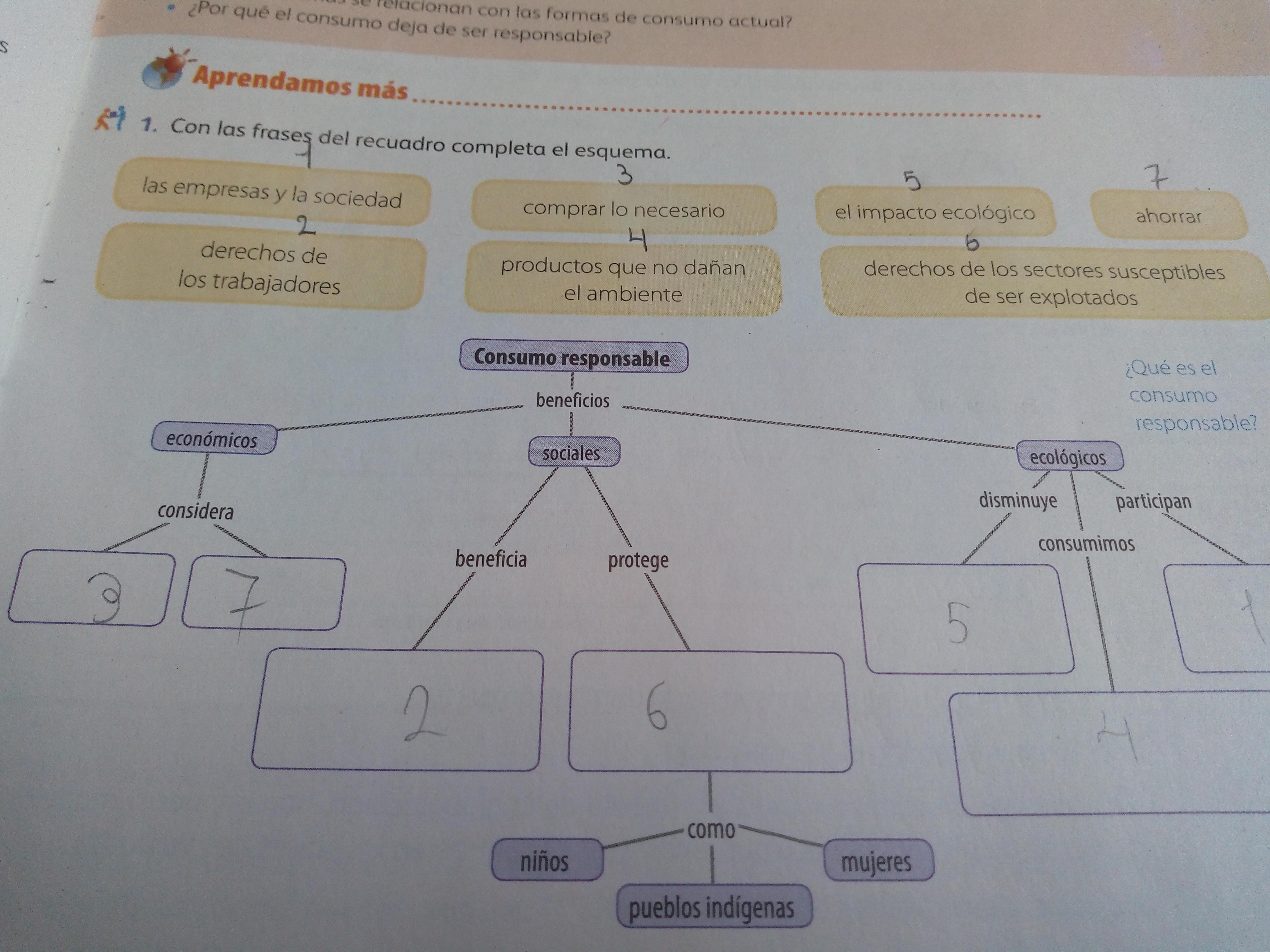 con las frases del recuadro completa el esquema Brainly.lat