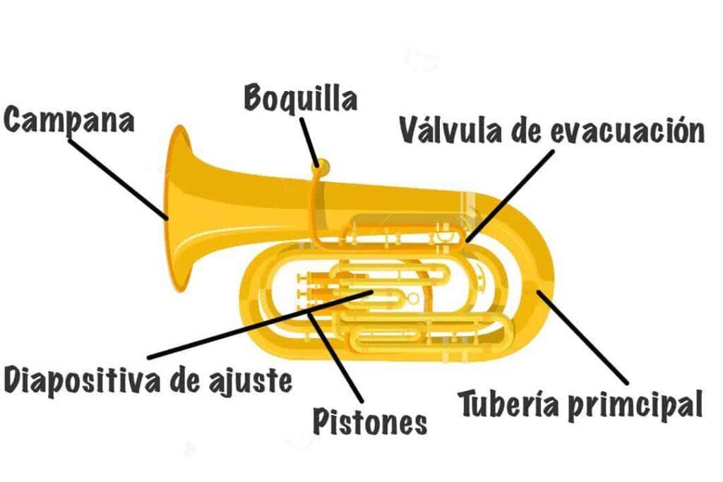 cuáles son las partes de la tuba y sus funciones Brainly.lat