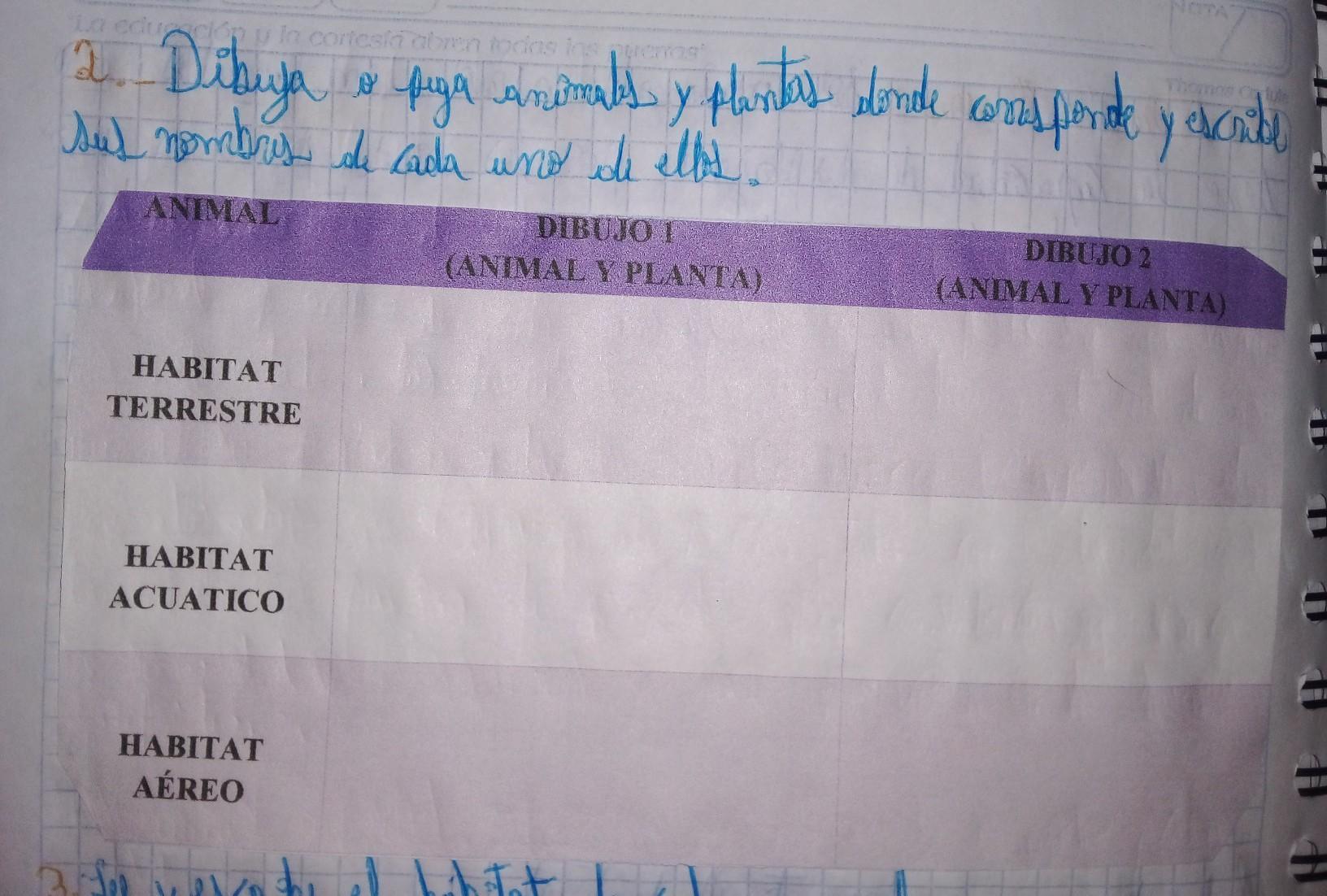 2. Dibuja o pega animales y plantas donde corresponde y escribe sus