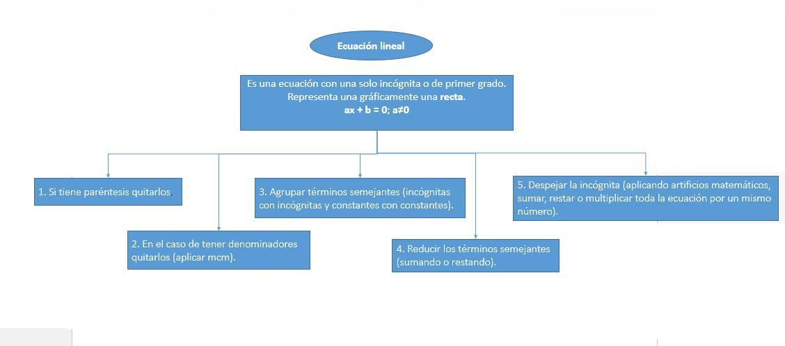 realiza un organizador gráfico acerca del procedimiento