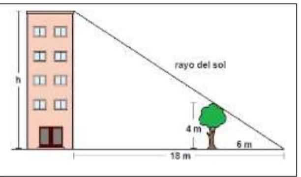 de acuerdo con la imagen ¿Cuál es la altura del edificio?a