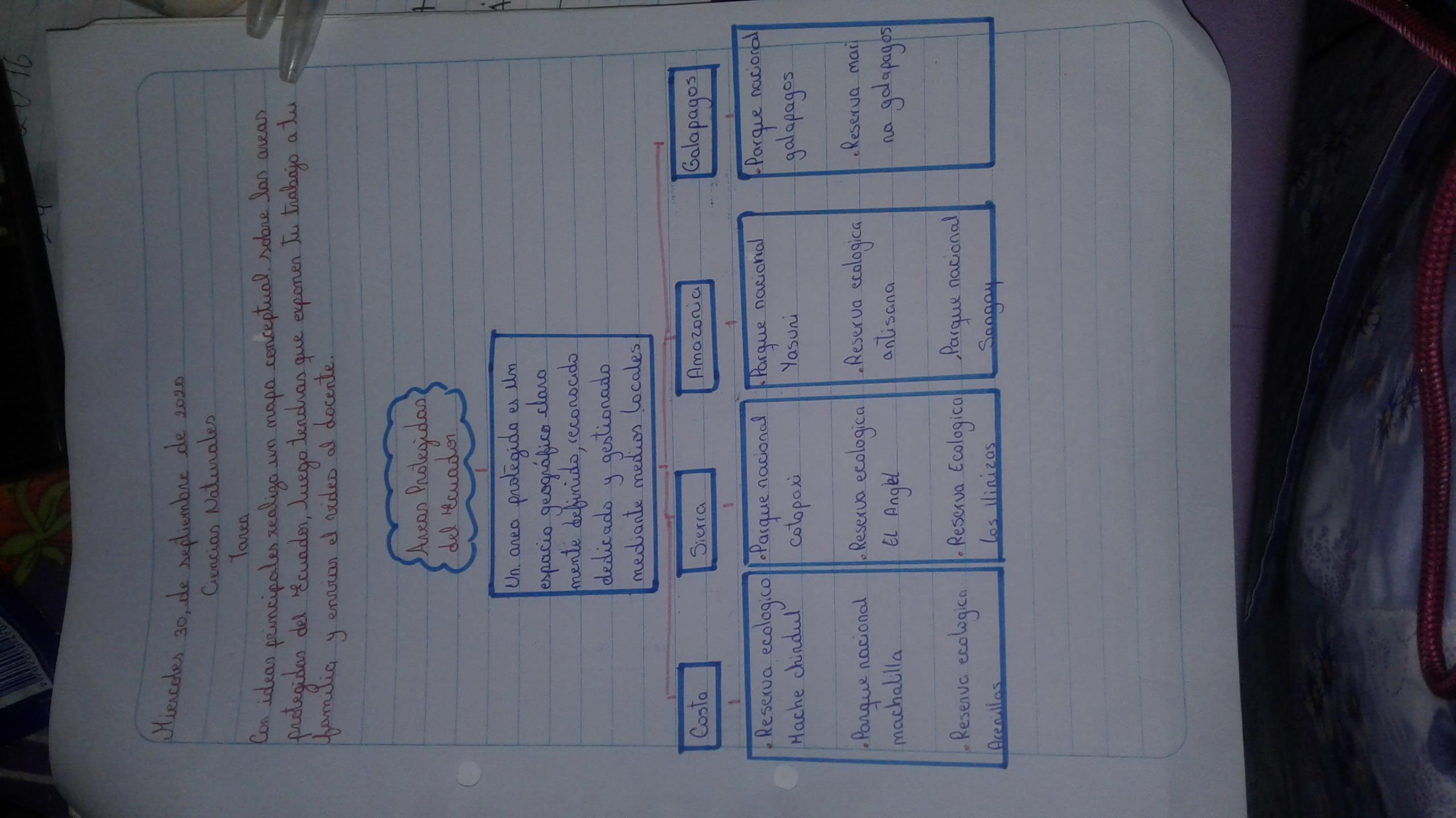 CON IDEAS PRINCIPALES REALIZA UN MAPA CONCEPTUAL SOBRE LOS ÁREAS