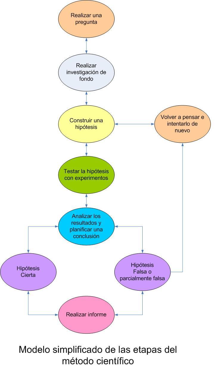 elaborar un organizador visual sobre los pasos del metodo
