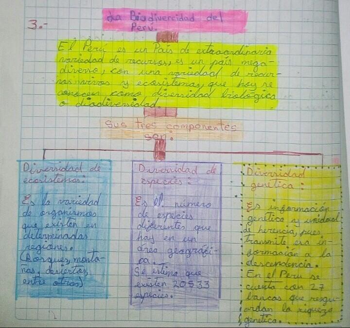 Elabora un organizador visual sobre la biodiversidad del Perú en el