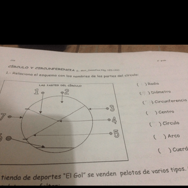 Relaciona el esquema con los nombres de las partes del