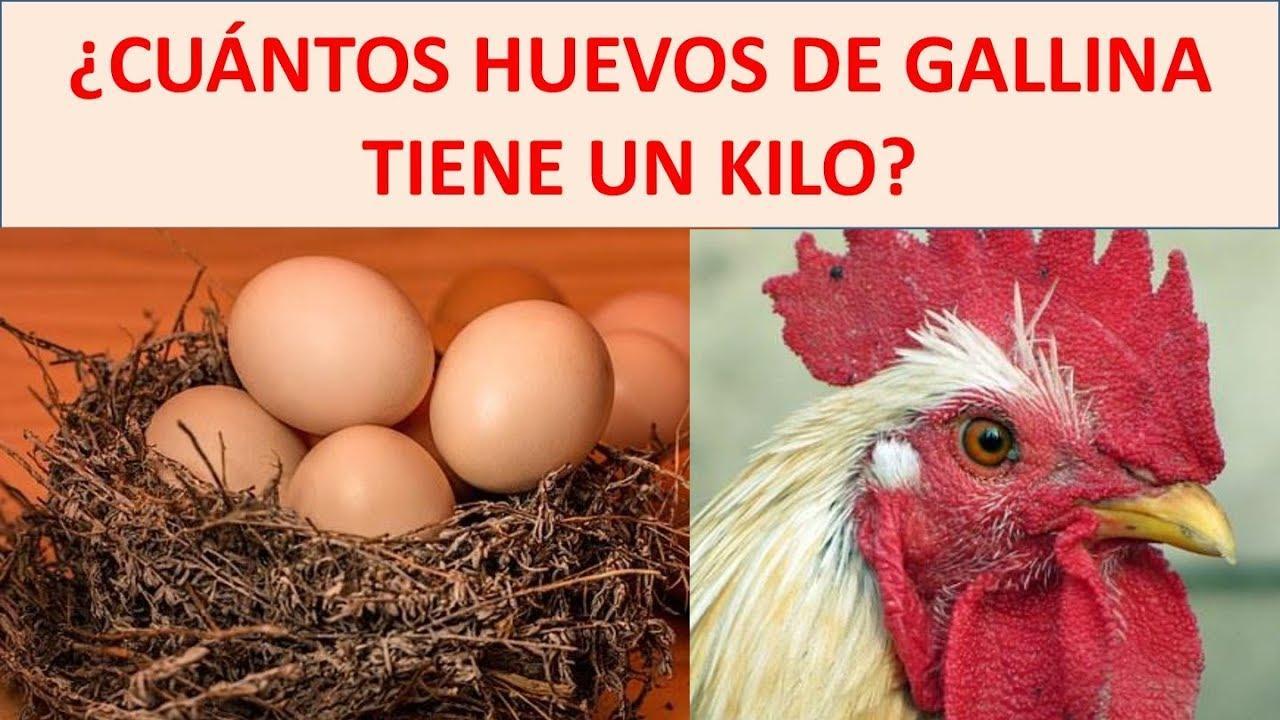 aproximadamente ¿cuantos huevos contiene 1 kilogramo (seis huevos