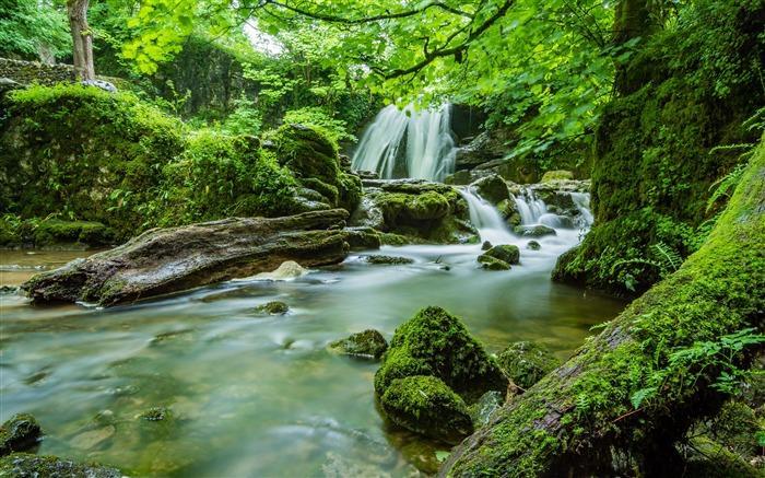 En que estado de la republica mexicana predomina la selva humeda
