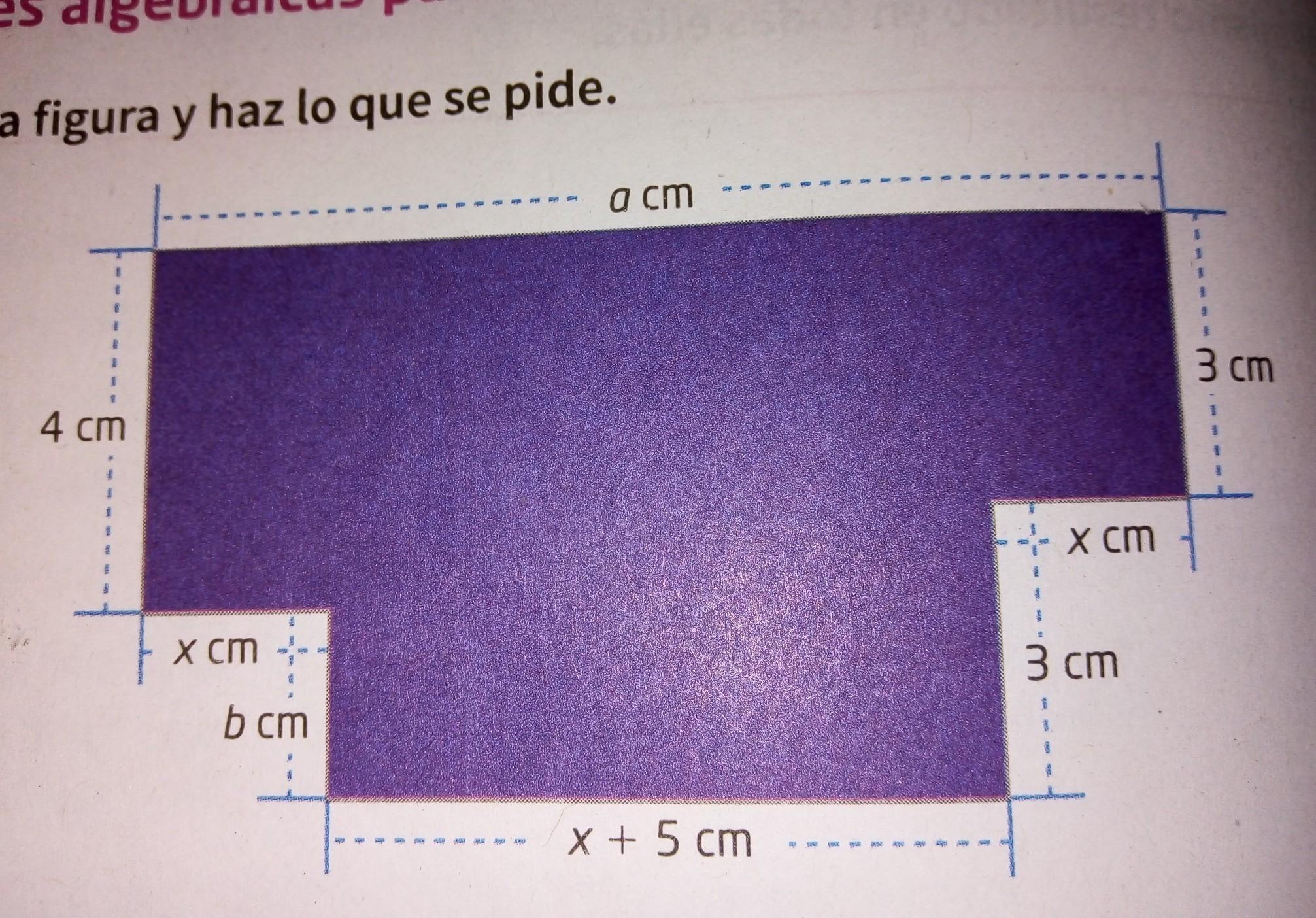 expresar el área algebraica Brainly.lat
