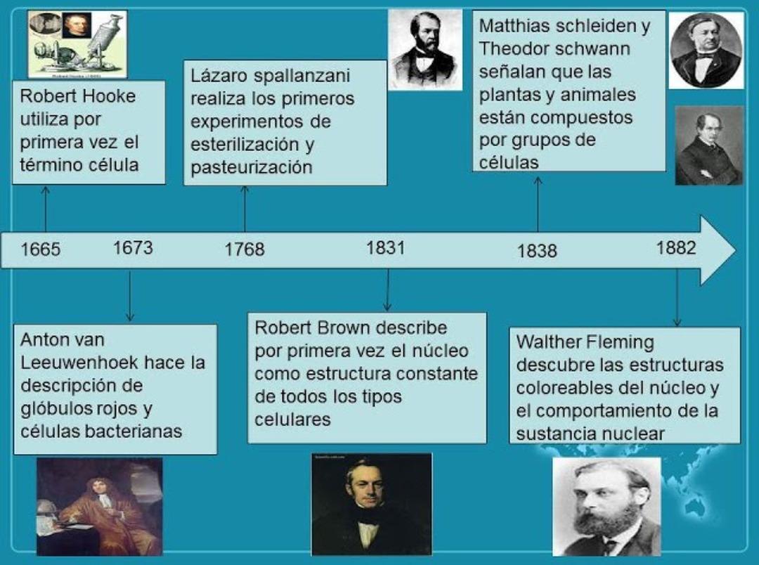 realiza una linia de tiempo con aportes que hicieron los cientificos a