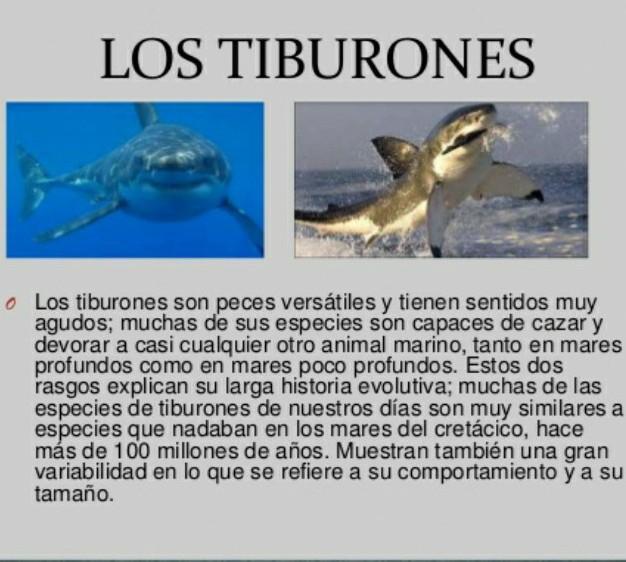 un texto de divulgación científica, identifica sus partes utilizando