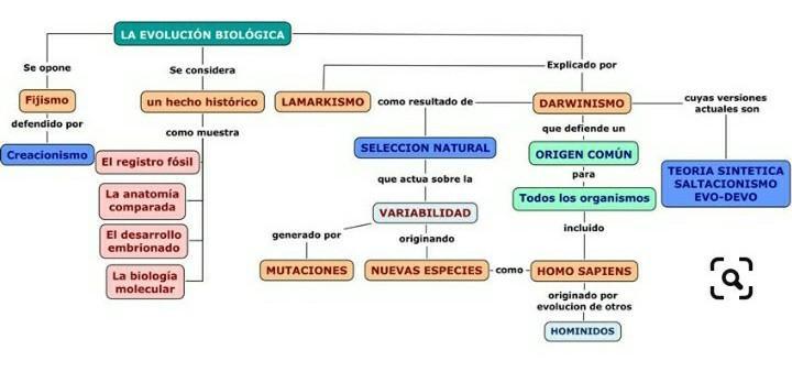 necesito un mapa conceptual de biologia las evidencias de la evolución