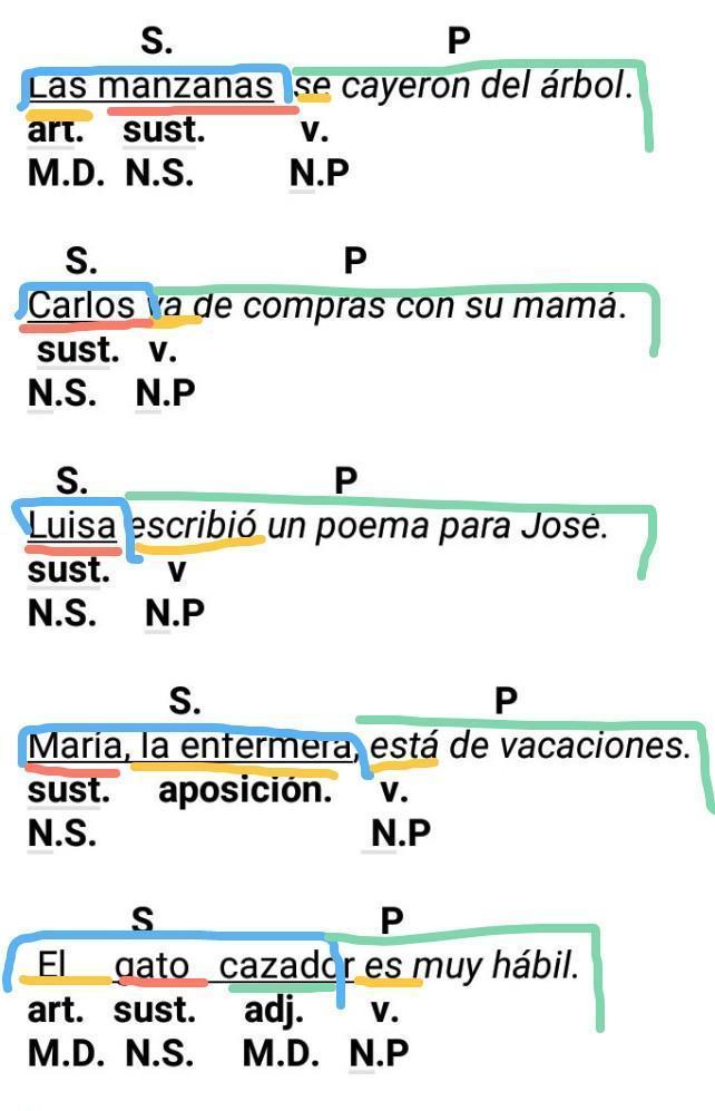oraciones con verbos sujetos predicado nucleo del sujeto y nucleo del
