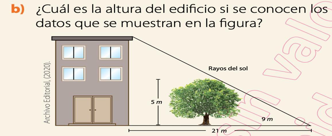 B)¿Cual es la altura del edificio si se conocen los datos