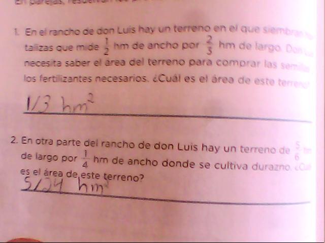 En el rancho de Don Luis hay un terreno en el que siembra hortalizas