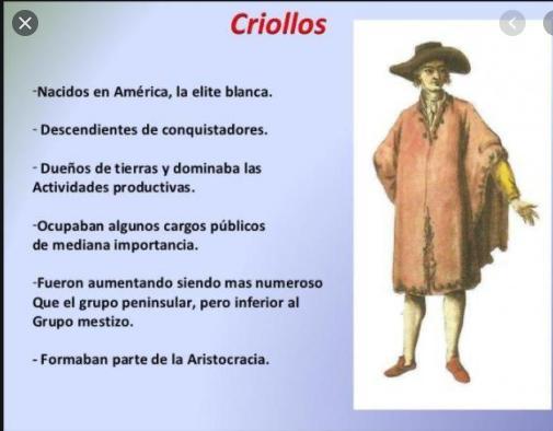 ¿Quiénes eran los criollos? ¿De qué manera afectaron las reformas