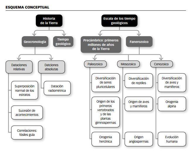 mapa conceptual sobre los fosiles Brainly.lat