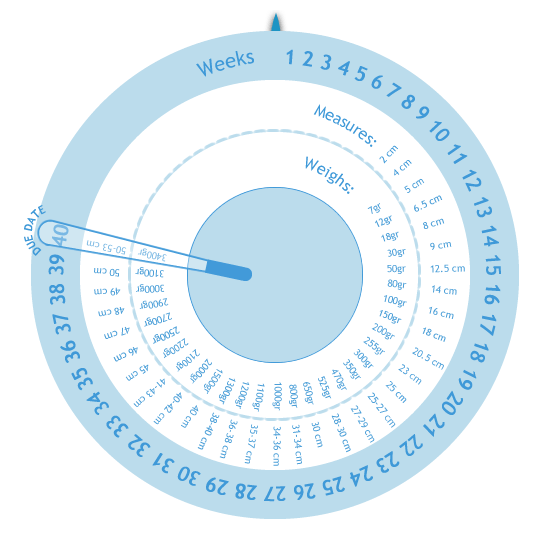 Pregnancy Management Gestogram Pregnancy Calculator