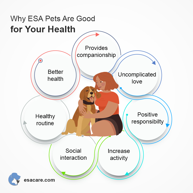 Are There Policies Governing ESAs in Public Places? ESA Care