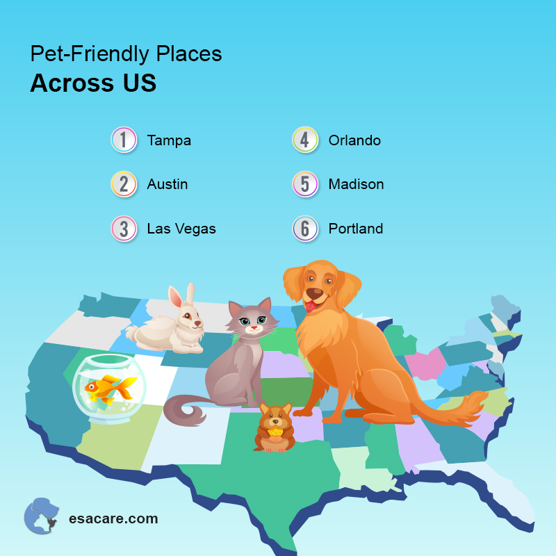 Pet Guidelines When Traveling With JetBlue ESA Care