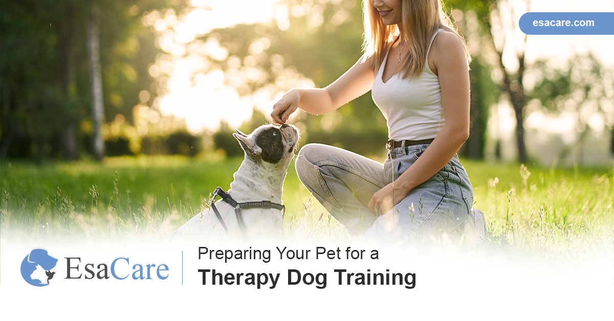 Preparing Your Pet for a Therapy Dog Training ESA Care