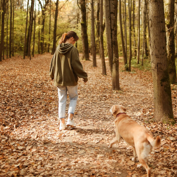 The 10 most common ways your dog shows his love and affection ESA