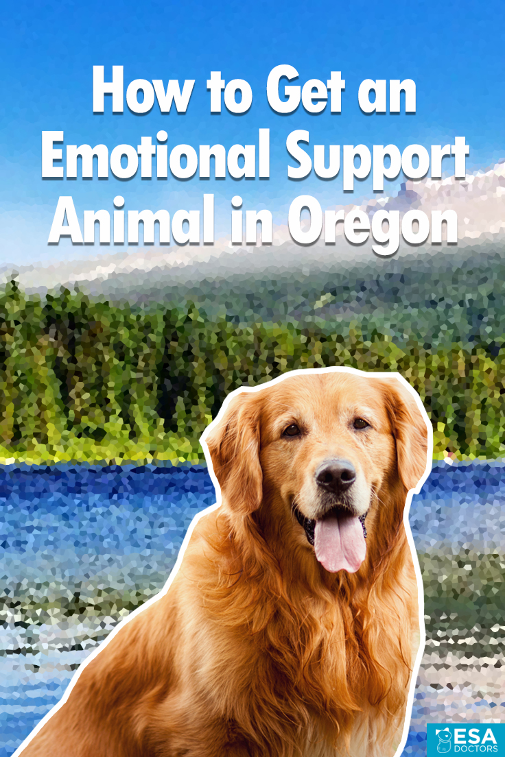 Can your landlord force you to get rid of a support dog if you have a doctor's note? How to Get an Emotional Support Animal in Oregon - ESA Doctors