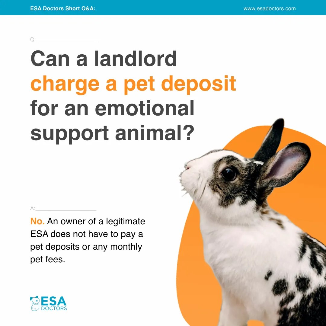 Can a landlord charge a pet deposit for an Emotional Support Animal? ESA Doctors