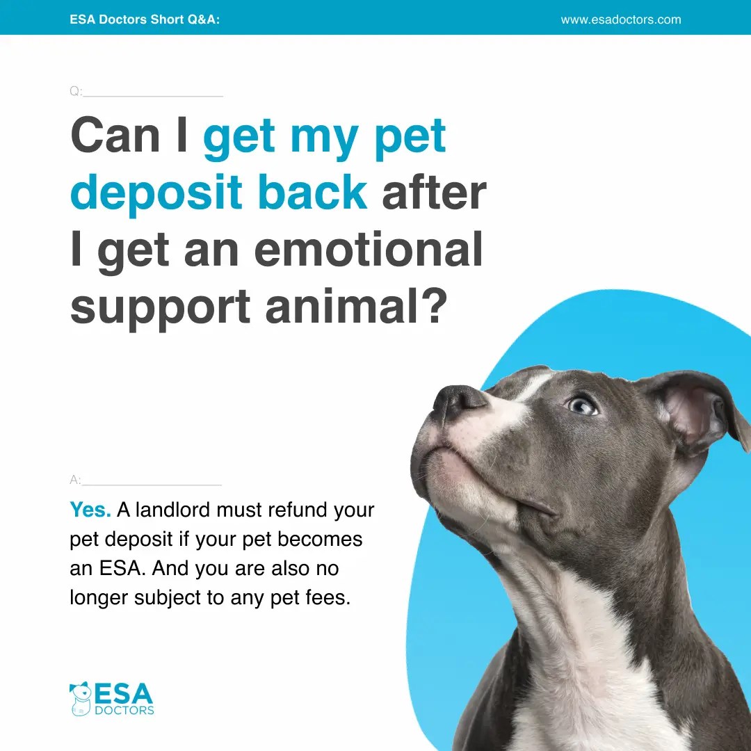 Can I get my pet deposit back after I get an Emotional Support Animal? ESA Doctors