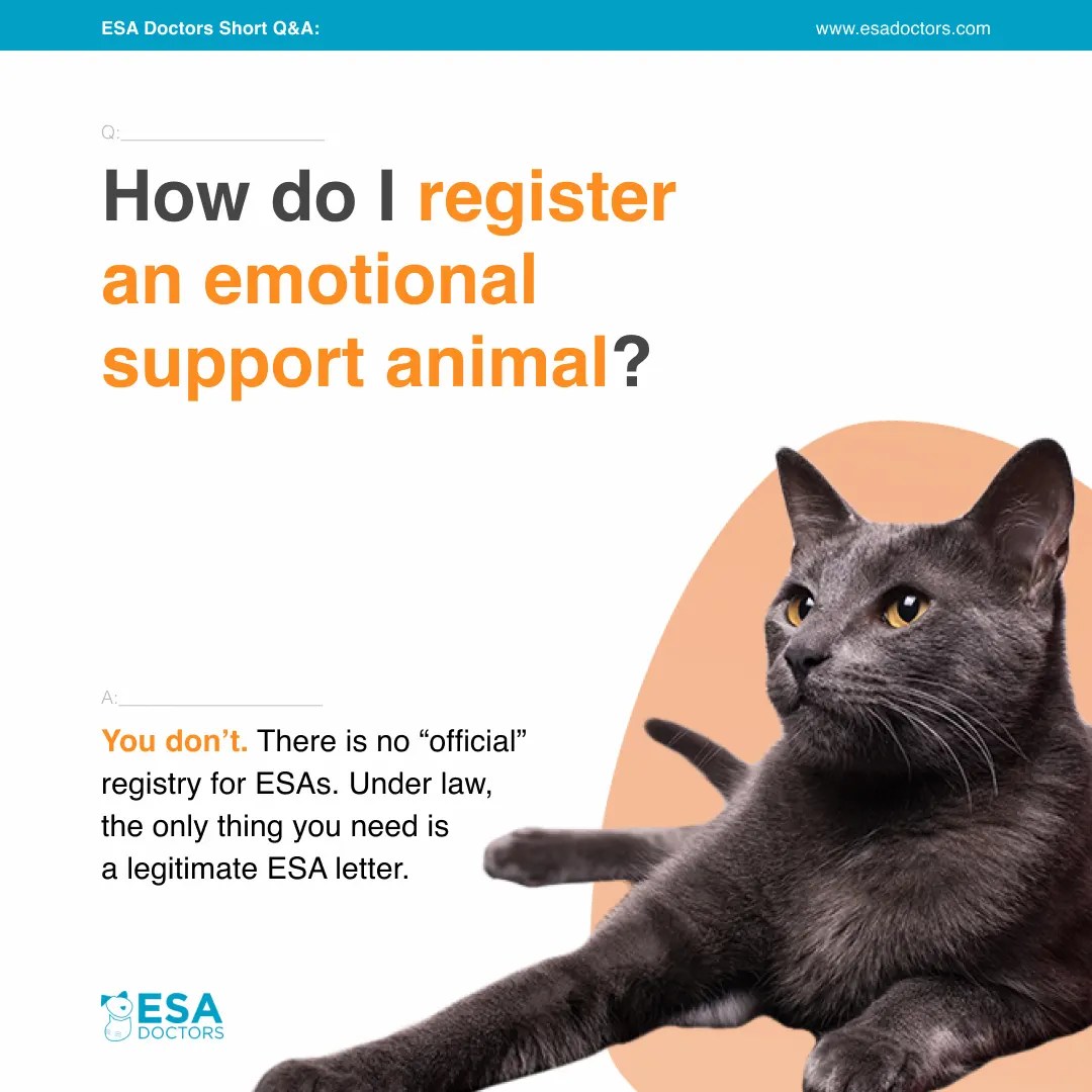 How do I register an Emotional Support Animal? ESA Doctors