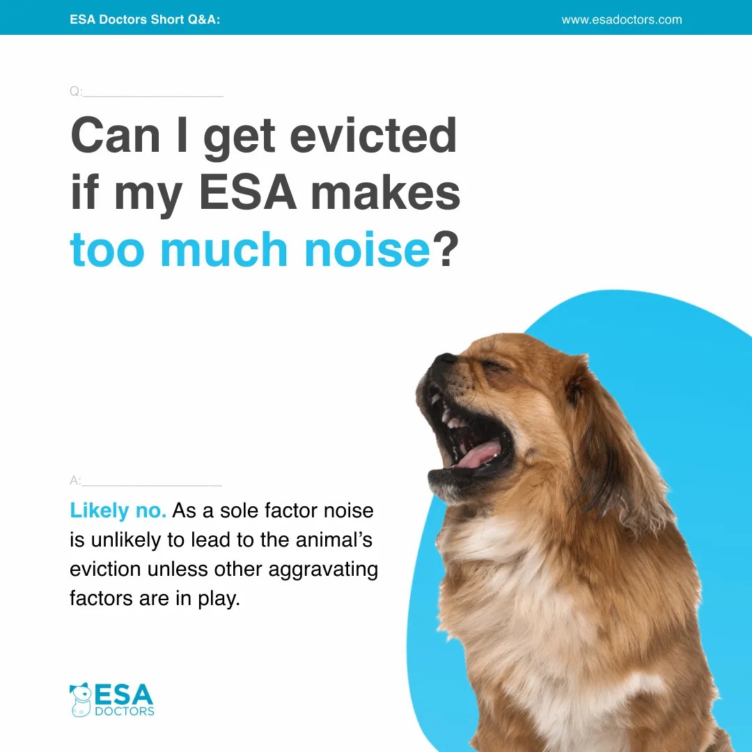 Can you get evicted if your ESA makes too much noise? ESA Doctors