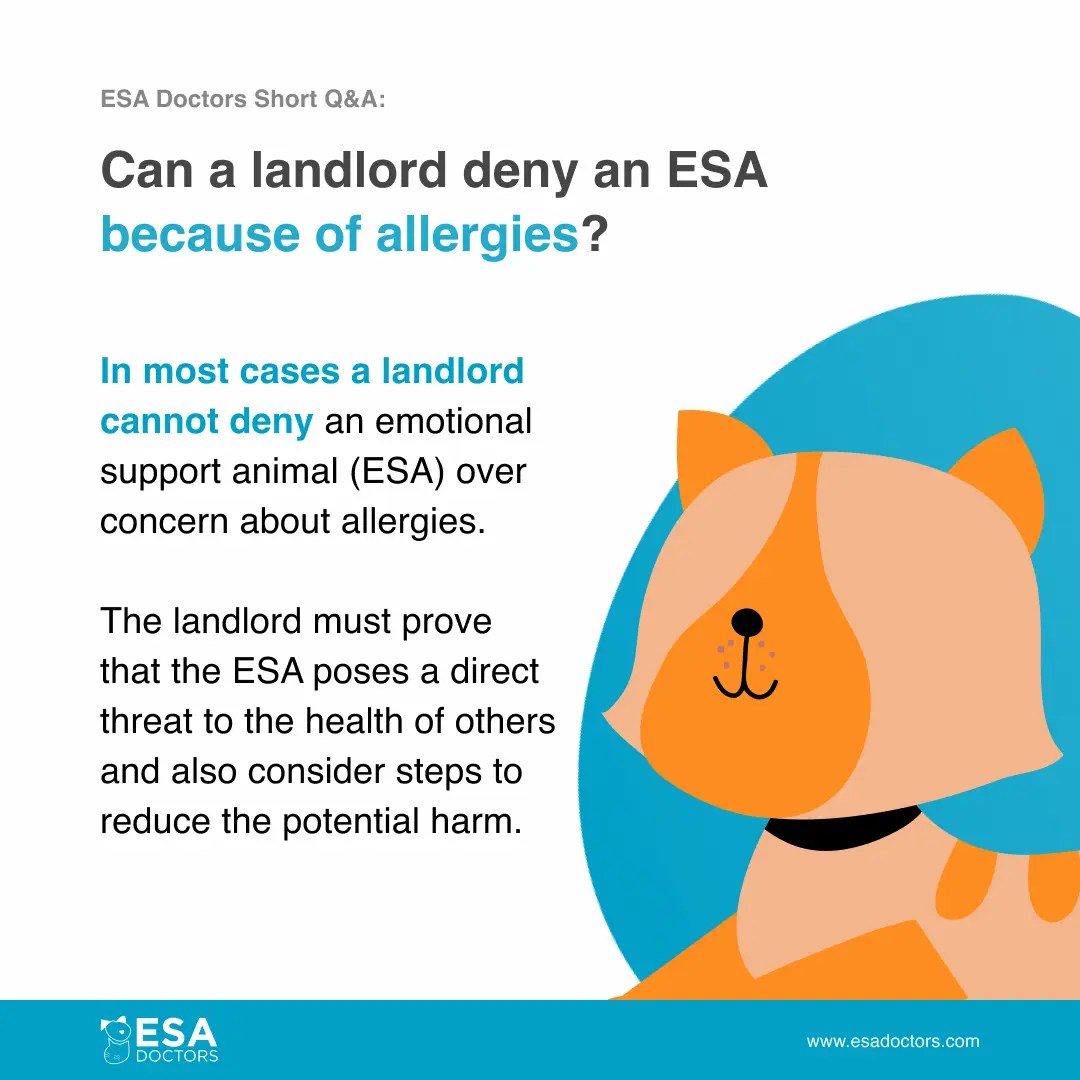 Can a landlord deny an Emotional Support Animal because of allergies? ESA Doctors